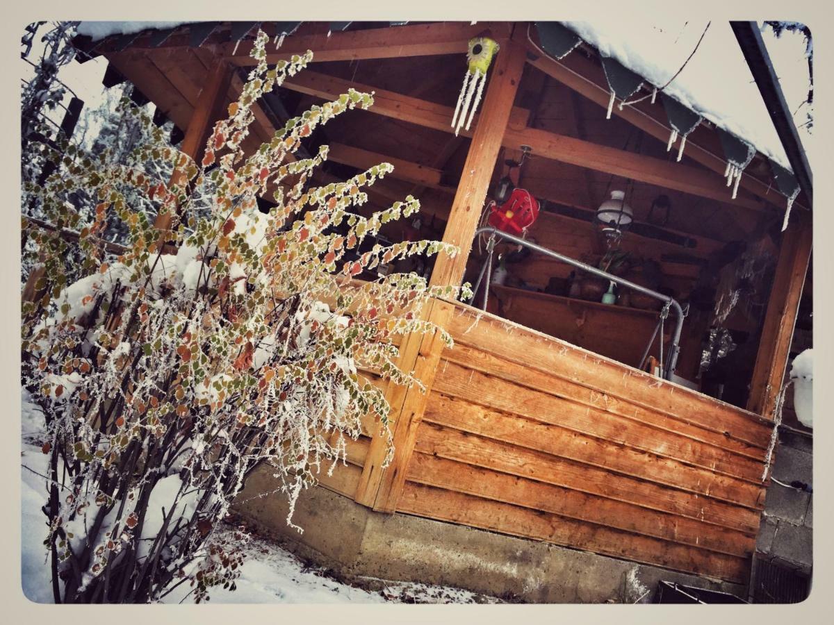 Apartment Eco Travel Suceava